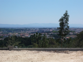 P1010890
